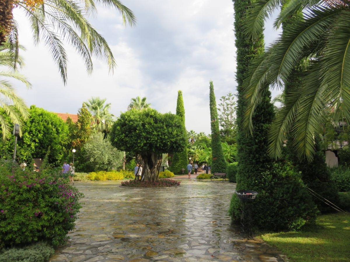 imagini hotel Starlight Resort